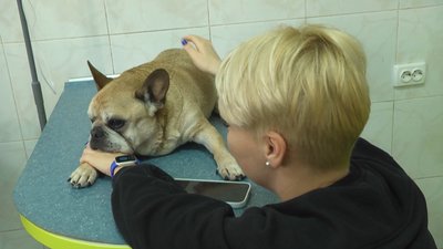 Вдвічі зросла цьогоріч кількість звернень з ускладненнями після укусів кліщів в порівнянні з аналогічним періодом минулого року Вдвічі зросла цьогоріч кількість звернень з ускладненнями після укусів кліщів в порівнянні з аналогічним періодом минулого року
