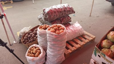 На "Східному" ринку у Житомирі вміст нітратів у молодій картоплі відповідає нормам