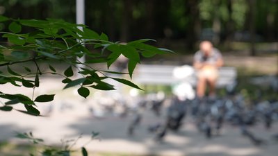 Погода на Полтавщині