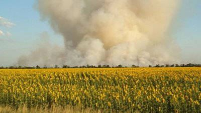 У Високопільській громаді на Херсонщині через обстріли військових РФ селяни втратили весь врожай зернових