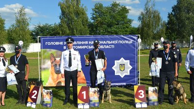 Здібна, але холерик: рівненська поліцейська вівчарка взяла "золото" на кінологічних змаганнях Здібна, але холерик: рівненська поліцейська вівчарка взяла "золото" на кінологічних змаганнях