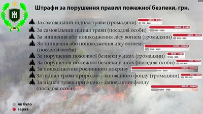 За добу на Житомирщині виникло 5 загорянь сухої рослинності (ОНОВЛЕНО) За добу на Житомирщині виникло 5 загорянь сухої рослинності (ОНОВЛЕНО)