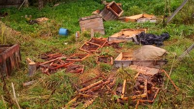 В Ілемнянському лісництві на Івано-Франківщині ведмідь зруйнував пасіку В Ілемнянському лісництві на Івано-Франківщині ведмідь зруйнував пасіку