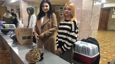 В Ужгороді провели виставку кішок "Міс-кіс" В Ужгороді провели виставку кішок "Міс-кіс"
