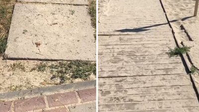 Аудит доступності: чи пристосовані Черкаси для людей на візку Аудит доступності: чи пристосовані Черкаси для людей на візку