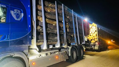 Везли деревину без документів — на Житомирщині прикордонники двічі за добу зупиняли вантажівки із лісом Везли деревину без документів — на Житомирщині прикордонники двічі за добу зупиняли вантажівки із лісом