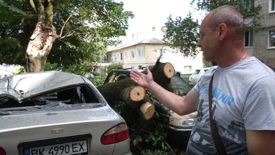 У Рівному дерево побило машини. Комунальник радить звертатись в суд