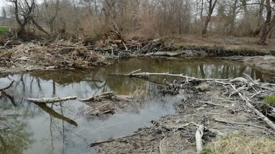 У непроточній воді немає кисню, а без нього річка втрачає здатність самоочищатисяФото: Суспільне Поділля У непроточній воді немає кисню, а без нього річка втрачає здатність самоочищатисяФото: Суспільне Поділля