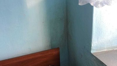 Пліснява на стінах. Фото: Оксана Кізаєва Пліснява на стінах. Фото: Оксана Кізаєва