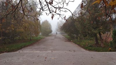 Заморозки та туман. Синоптики розповіли про погоду на Закарпатті