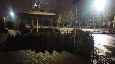 Розбійний напад у Черкасах: чоловік погрожував зброєю та стріляв, щоб вкрасти дві ялинки Розбійний напад у Черкасах: чоловік погрожував зброєю та стріляв, щоб вкрасти дві ялинки