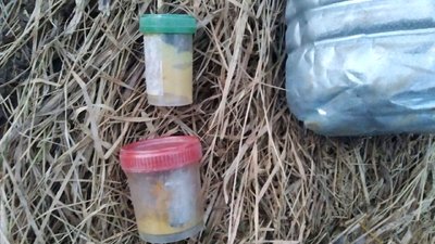 На Рівненщині знайшли набої та вибухівку в уродженця Росії – поліція На Рівненщині знайшли набої та вибухівку в уродженця Росії – поліція