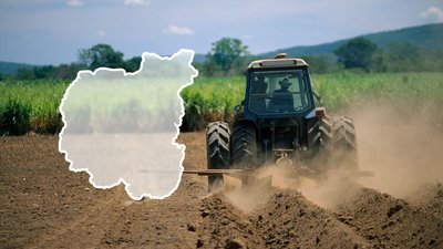 Купити землю на Чернігівщині: область є одним з лідерів з продажу землі