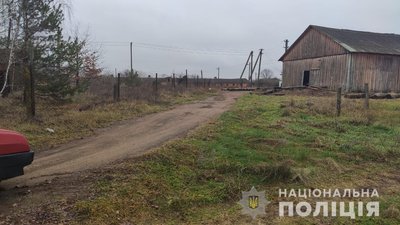 На Житомирщині на фермі виявили нелегальну лісопильню На Житомирщині на фермі виявили нелегальну лісопильню