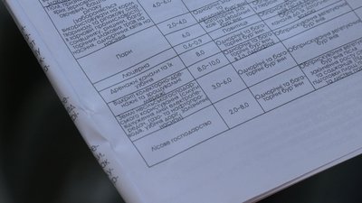 мертва риба мертва риба