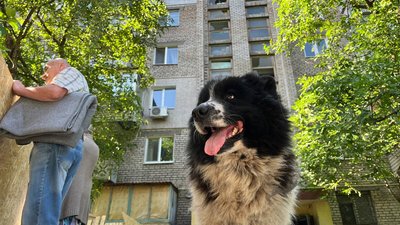 "Дуже гучно, такого ще не було": очевидці про черговий обстріл РФ Запоріжжя "Дуже гучно, такого ще не було": очевидці про черговий обстріл РФ Запоріжжя