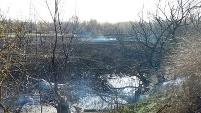 Рятувальники гасять пожежі на відкритих територіях Рятувальники гасять пожежі на відкритих територіях