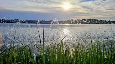 став, фонтан, вода, тернопільський став, літо