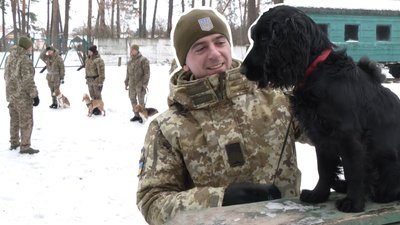 На Львівщині майбутні собаки-прикордонники склали іспити