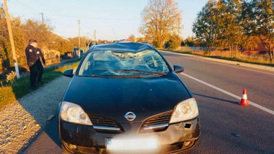 Велосипедист, який потрапив під колеса авто, — у реанімації Велосипедист, який потрапив під колеса авто, — у реанімації