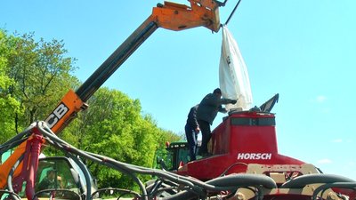 Почали на місяць пізніше, але очікують гарного врожаю: на Вінниччині сіють сонях
