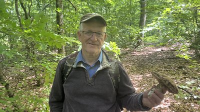 "Головне, не поспішати": що каже грибар Володимир Тарасюк про сезон грибів на Закарпатті