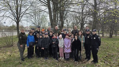 Висадка дерев, екологія