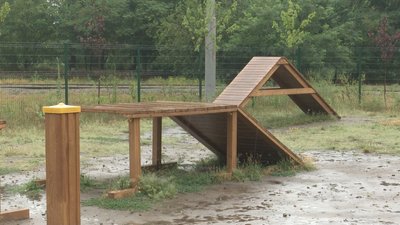У Дніпрі планують збудувати майданчики для вигулу собак У Дніпрі планують збудувати майданчики для вигулу собак