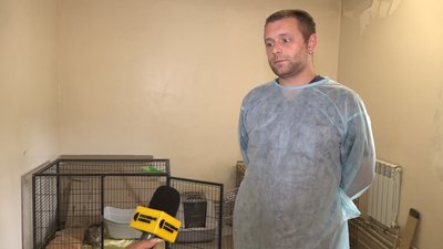 Кіт Херсон чекає на дім: понад місяць у житомирському "Центрі захисту тварин" живе евакуйована тварина Кіт Херсон чекає на дім: понад місяць у житомирському "Центрі захисту тварин" живе евакуйована тварина