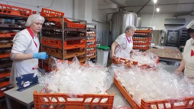 Сім тисяч пасок виготовляють за добу на Бердичівському хлібозаводі на Житомирщині Сім тисяч пасок виготовляють за добу на Бердичівському хлібозаводі на Житомирщині