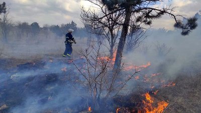 На Дніпропетровщині сталося дві пожежі в екосистемах
