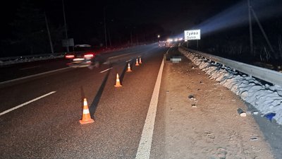 Вантажівка збила пішохода: на Житомирщині внаслідок ДТП загинув чоловік