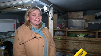 "Надія на дім": як тварин із притулку на Рівненщині забирають у сім'ю за кордон "Надія на дім": як тварин із притулку на Рівненщині забирають у сім'ю за кордон