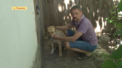Дніпропетровщина: активіст заявляє про бездіяльність поліції в розслідуванні стрілянини