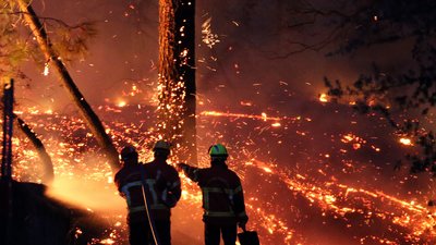 У Франції вирують лісові пожежі: евакуйовано майже 3 тисячі осіб