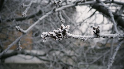 прогноз погоди для Миколаївської області на 8 лютого