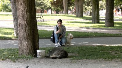 Постить фото й відео у соцмережі: вінничанка шукає господарів для безпритульних собак Постить фото й відео у соцмережі: вінничанка шукає господарів для безпритульних собак