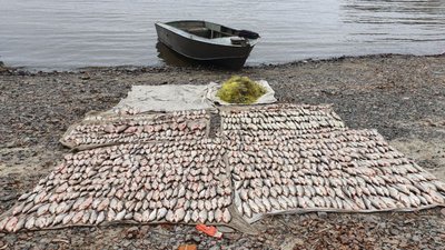 Збитки на понад 200 тисяч гривень: на Полтавщині викрили рибалок-порушників