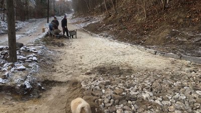 Жителі Тернопільщини самостійно відновлюють дорогу Жителі Тернопільщини самостійно відновлюють дорогу