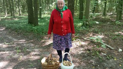 Феодосія Бездушняк збирає у лісі гриби, Хмельниччина, 17 серпня року