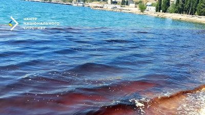 внаслідок викиду фекалій у Севастополі гинуть дельфіни