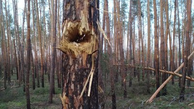 Нацгвардієць Іван Савчин планує повернутися на фронт після реабілітації в Івано-Франківську Нацгвардієць Іван Савчин планує повернутися на фронт після реабілітації в Івано-Франківську
