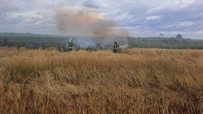Ліквідація пожежі поля з ячменем у селі Любче Копачівської громади