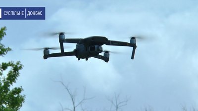 На Донеччині у ландшафтному парку вчаться плавати лебеденята На Донеччині у ландшафтному парку вчаться плавати лебеденята