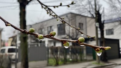 З Благовіщення — поступове потепління: яку погоду прогнозують на Рівненщині найближчими днями