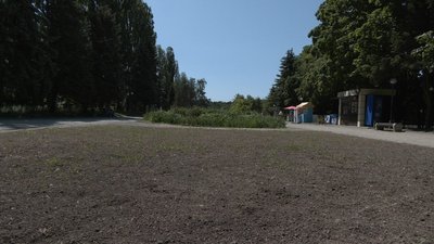 Перша у Вінниці декоративна лука замість газону Перша у Вінниці декоративна лука замість газону