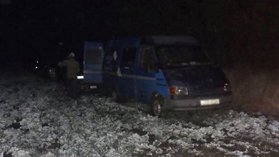 Вирубували лісосмугу на Черкащині Вирубували лісосмугу на Черкащині