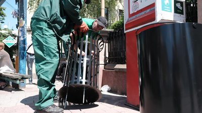 У Чернівцях встановлять 200 нових смітників: їх купили за понад 450 тисяч гривень