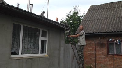 На Хмельниччині мавпа покусала дитину: тварину досі не спіймали