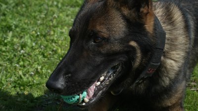 Як минув передостанній тиждень квітня на Миколаївщині: фотодобірка Як минув передостанній тиждень квітня на Миколаївщині: фотодобірка